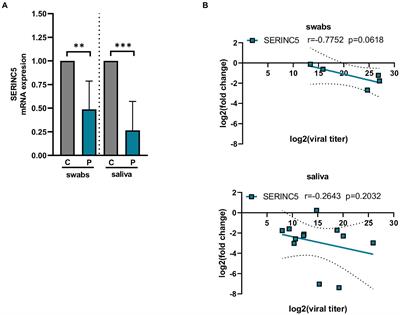 SARS-CoV-2-encoded small RNAs are able to repress the host expression of SERINC5 to facilitate viral replication